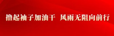 ​省农业农村厅副厅长刘飚一行到邯郸冀南新区调研