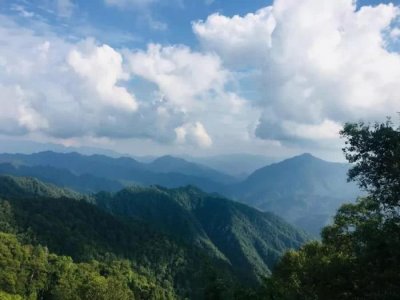 ​黄柏塬，秦岭南麓这种神仙居住的地方，我心向往~