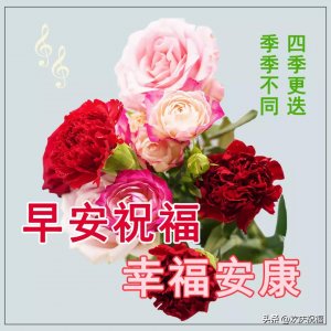 ​朋友圈最温馨的早安祝福图片精选，超好看的全新早安祝福图片