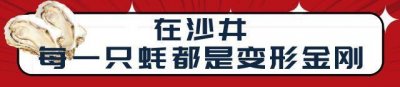 ​在沙井每一只蚝都是“变形金刚”