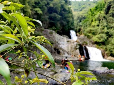 ​「避暑胜地：黄沙九滩瀑布」瑶乡秘境有传说，九滩仙境出芙蓉